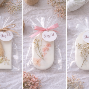 Mini San Pedro Cactus